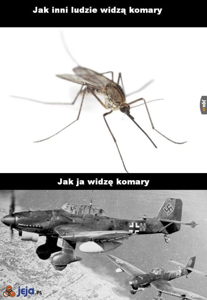 Komary