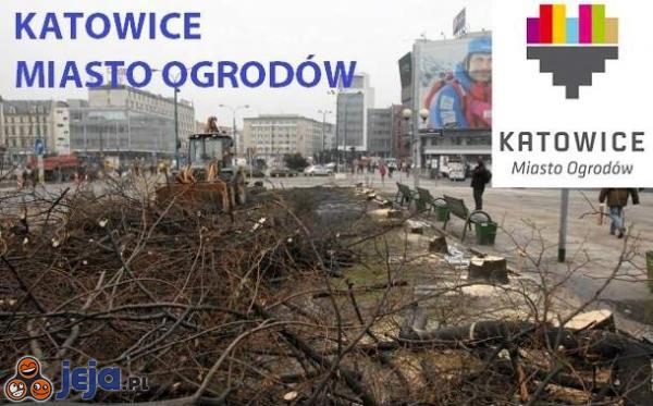 Katowice miasto ogrodów