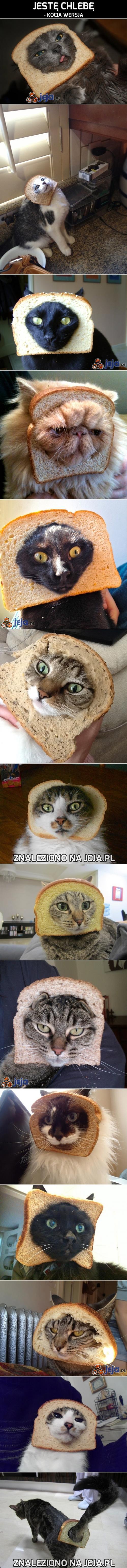 Jestę chlebę