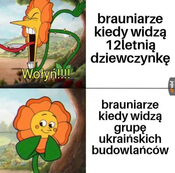 Dziewczynka to bezpieczniejszy przeciwnik