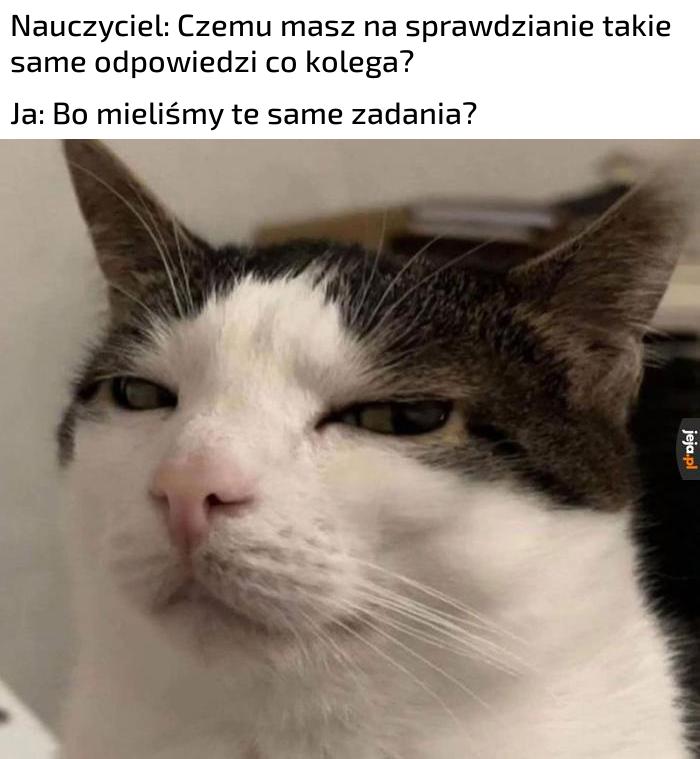 Jak możesz tego nie wiedzieć głuptasie