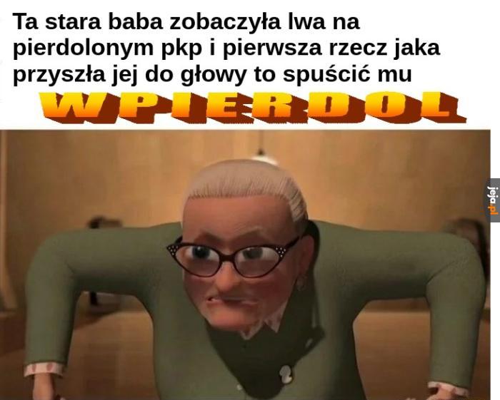 Lew kontra stara baba