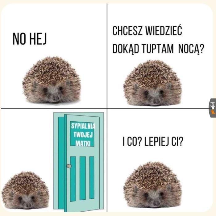 Dookąąd nooocąą tuupttaaa jeeż