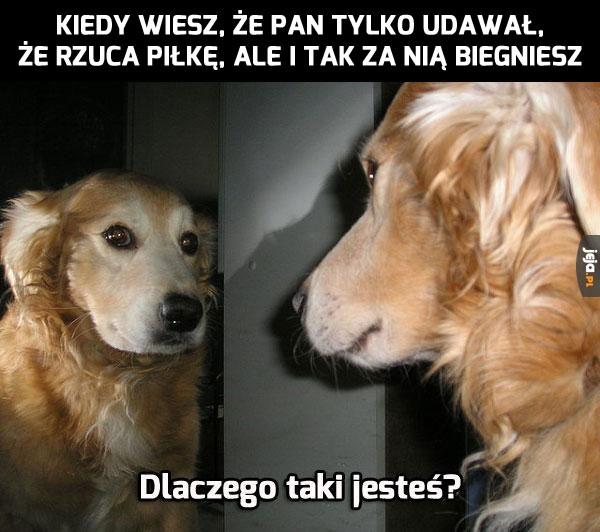 Przydałaby się jakaś terapia