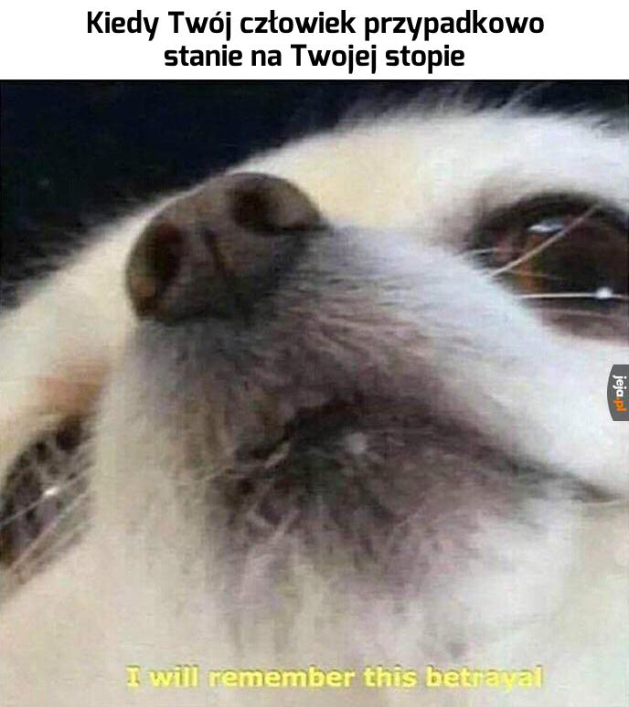 Auuuuu!