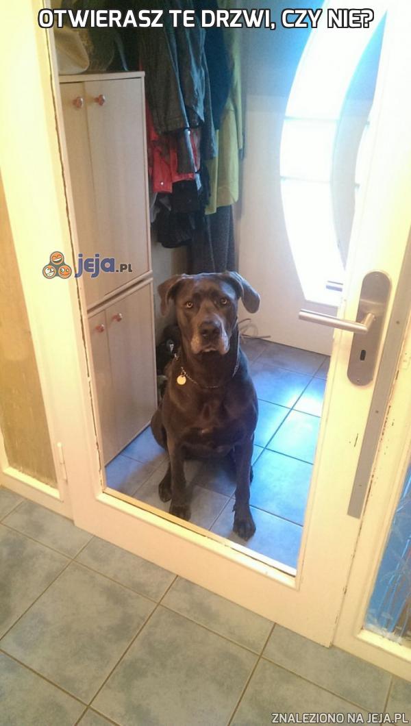 Otwierasz te drzwi, czy nie?
