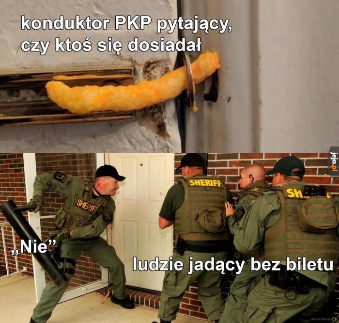 Polska solidarność