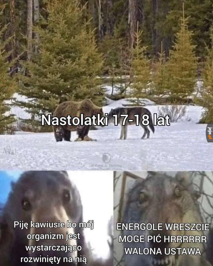 "Energole moje paliwole"
