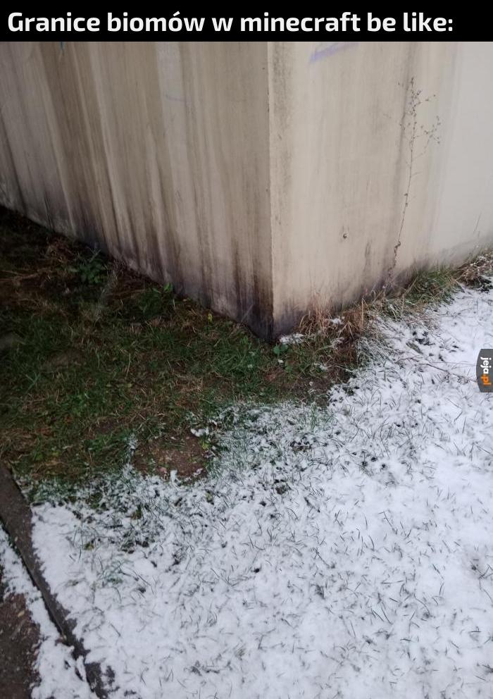 Minecraft IRL