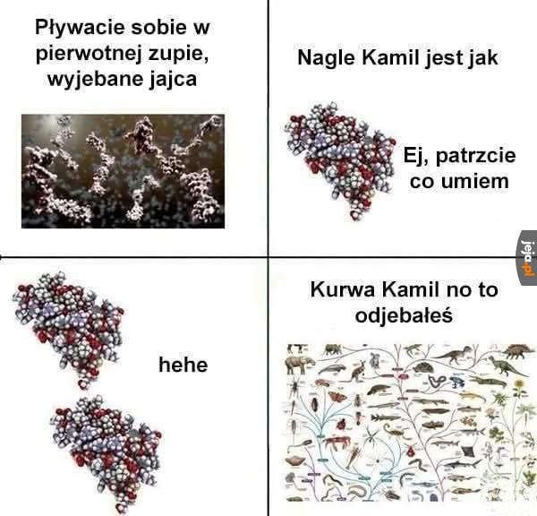 No i masz babo placek