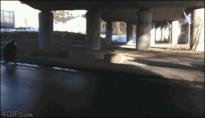 Uwielbiam skateboarding za takie akcje