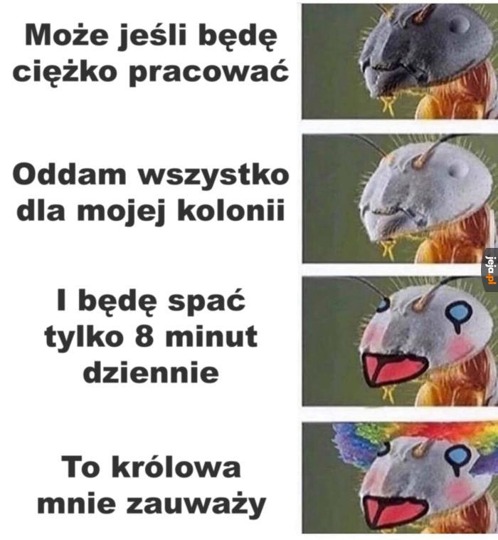 Ta, na pewno