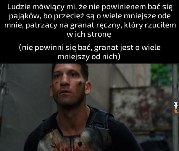 Tak naprawdę uwielbiam pająki