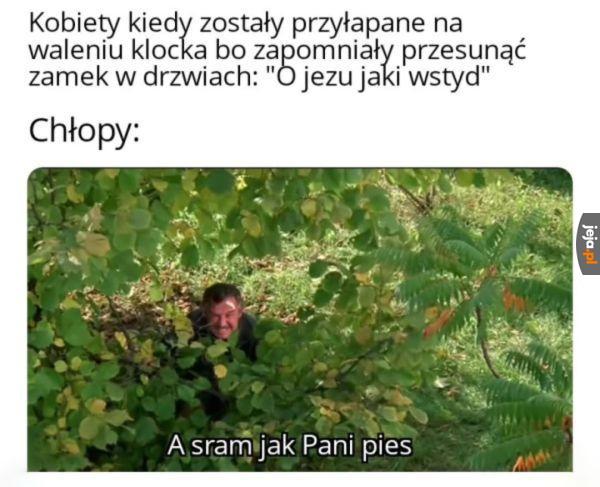 Niech się wstydzi ten kto widzi