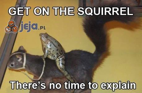 Wskakuj na wiewiórkę, nie ma czasu na wyjaśnienia...