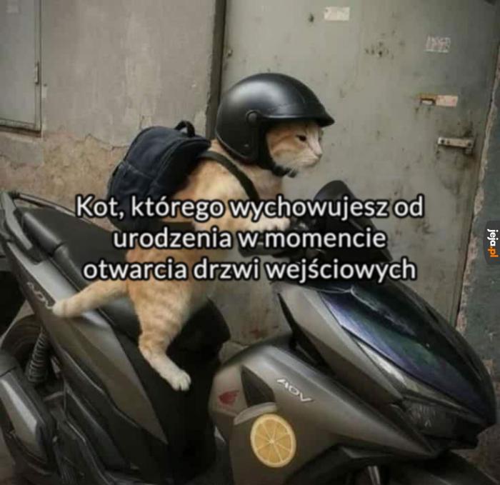 Żegnaj partnerze