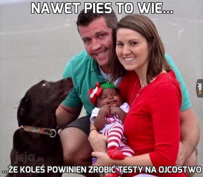 Nawet pies to wie...