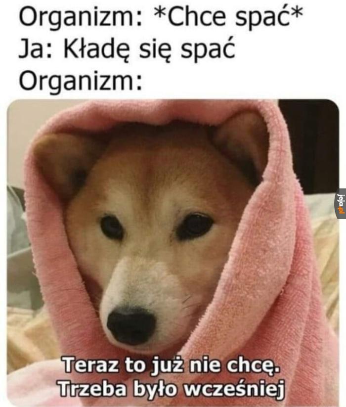 Irytujące