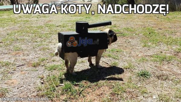 Uwaga koty, nadchodzę!