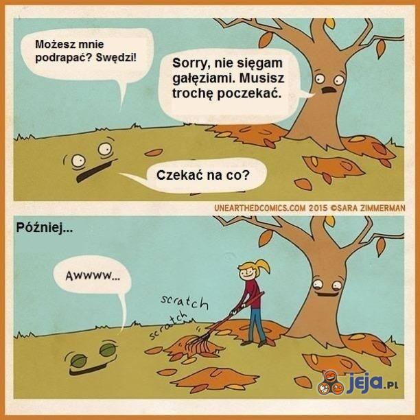 Drapanko