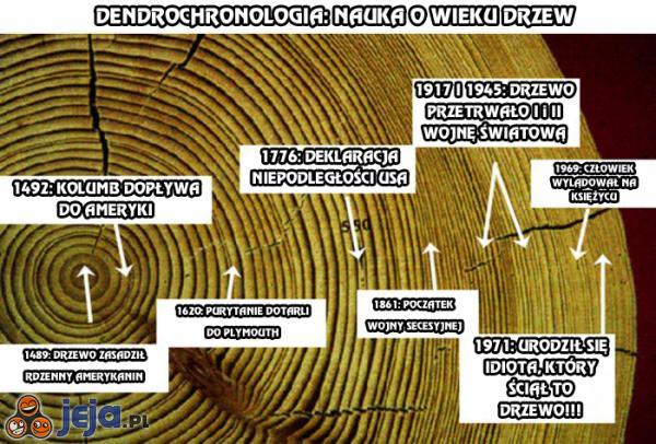 Dendrochronologia: nauka o wieku drzew