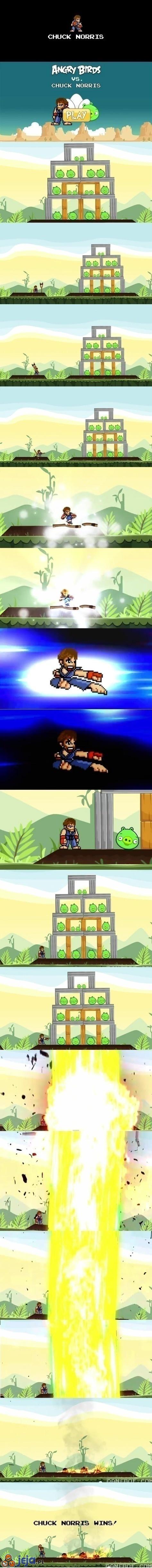 Chuck Norris gra w Angry Birds