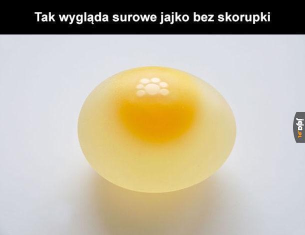 Surowe jajko