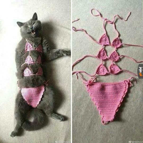 Jakim cudem ludzkość przetrwała tyle lat bez bikini dla kotów?