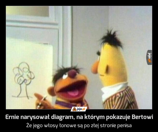 Ernie narysował diagram, na którym pokazuje Bertowi