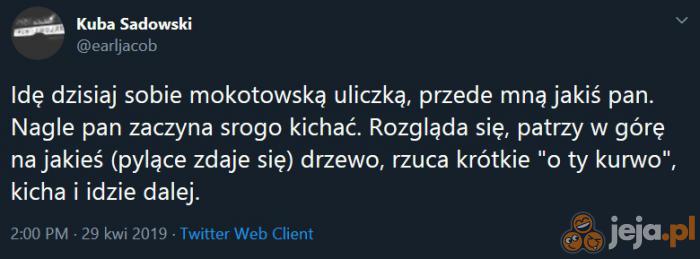 Alergie są najgorsze