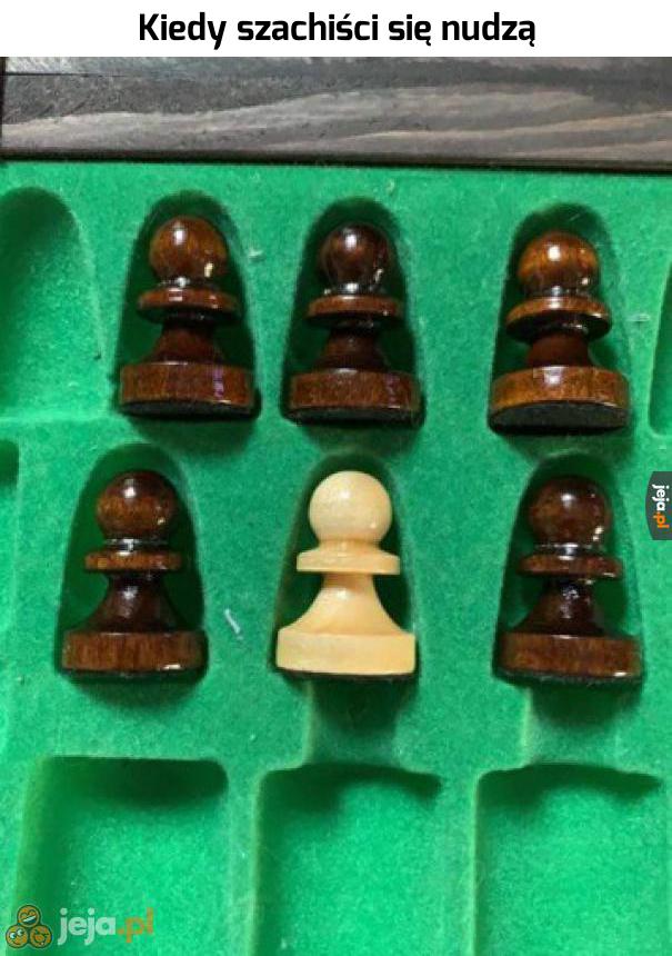 Słynna scena w wydaniu szachowym