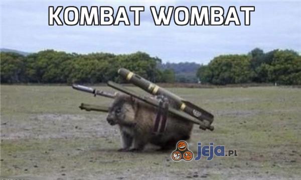 Kombat wombat