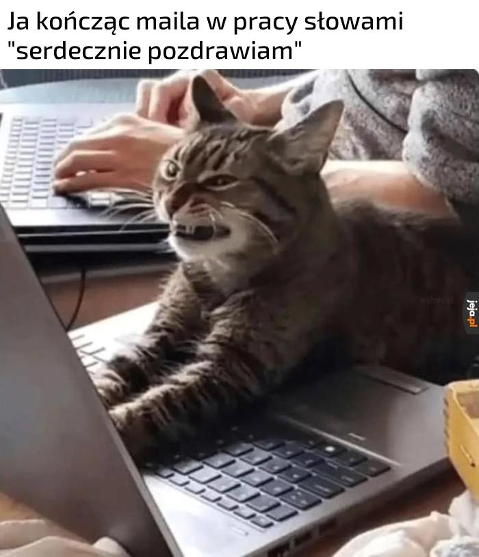 Tak naprawdę wcale nie pozdrawiam
