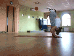 Kot i joga