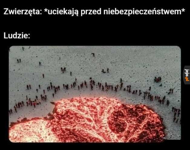 "Mam nieodpartą ochotę to polizać"