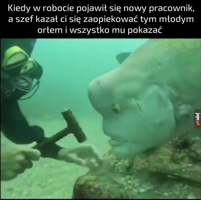 Oreła Cień