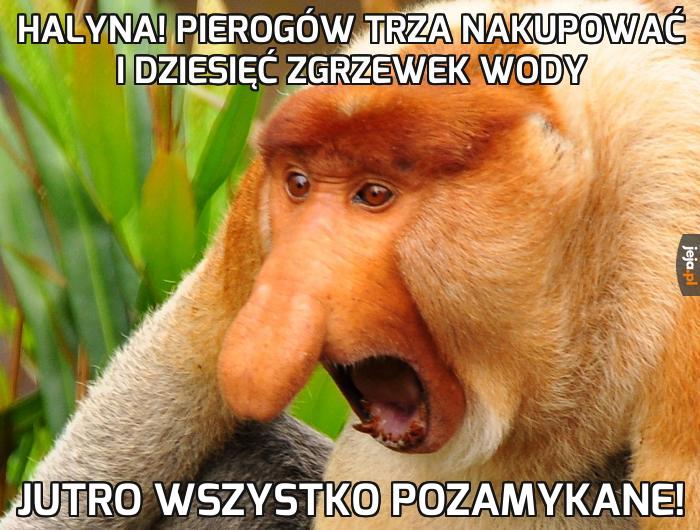 Niedziela bez handlu