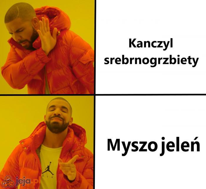 Wybór jest oczywisty