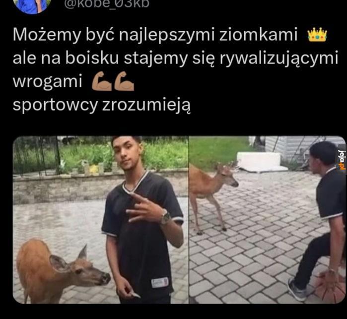 Uwielbiam grać w kręgle moim z chomikiem