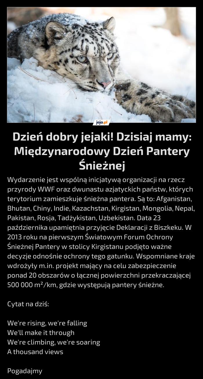 Dzień dobry jejaki! Dzisiaj mamy: Międzynarodowy Dzień Pantery Śnieżnej