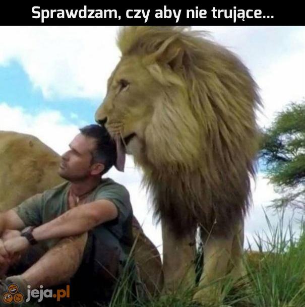 Ostrożności nigdy za wiele