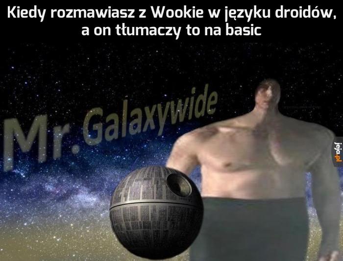 Człowiek protokolarny