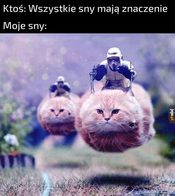 Jakie to ma znaczenie?