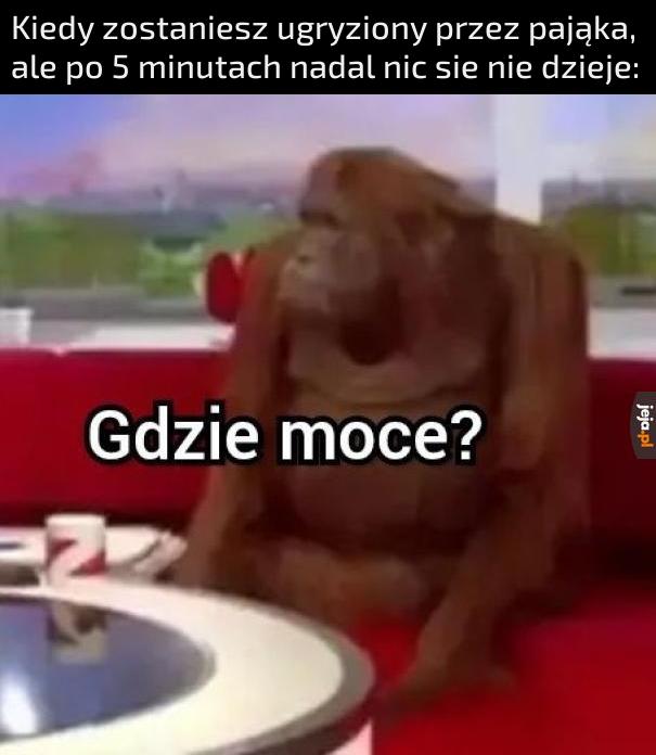 Już powinienem strzelać pajęczynami no nie?