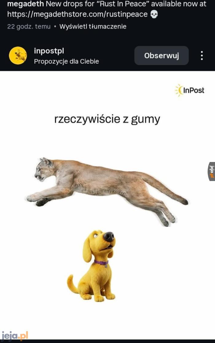 Ja w sprawie pumy