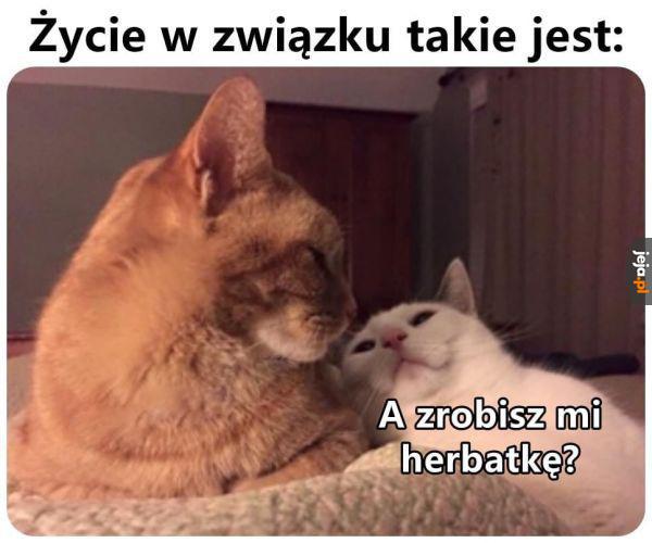 Nie rel, jestem samotnym kamieniem