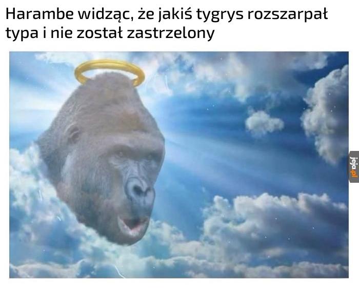 Trochę nie fair