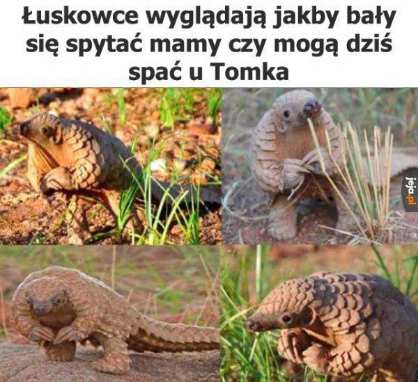 Mogę mamuś?