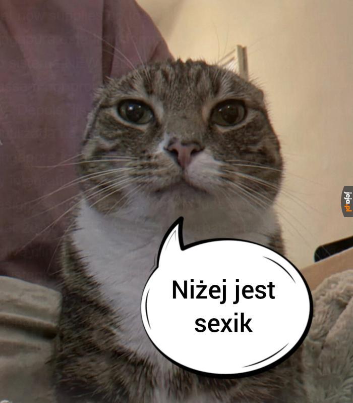 Rel