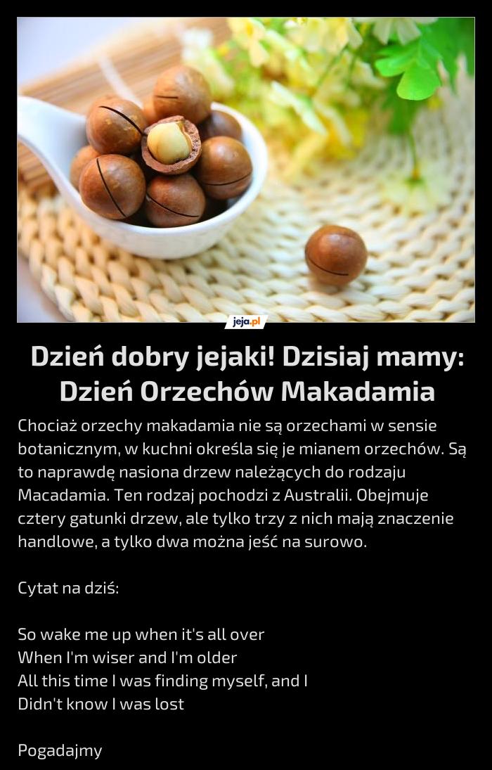 Dzień dobry jejaki! Dzisiaj mamy: Dzień Orzechów Makadamia